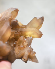 XL Rare Natural Citrine Cluster - South Africa