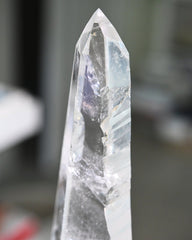Groovy Lemurian Seed w Stand 14inch