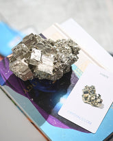 Cubic Pyrite Cluster 3.1lbs