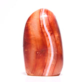 Carnelian Freeform