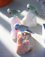 Quartz Bird on Rough Crystal