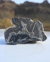 Pilbara Agate Geode LG