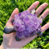 1pc Natural Amethyst Teeth Tortoise Gemstone Animal Turtle Statue Home Decoration Gifts