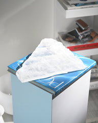 XL Selenite Slab 8lbs