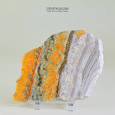 Bumblebee Jasper Slab