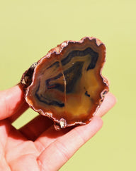 Rare Condor Agate Geode