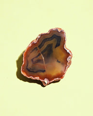 Rare Condor Agate Geode