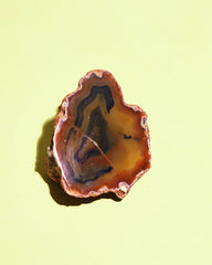 Rare Condor Agate Geode