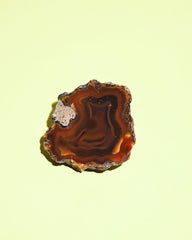 Rare Condor Agate Geode
