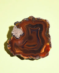Rare Condor Agate Geode