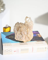 Elestial Citrine Cluster 3.7lbs