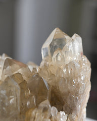 Elestial Citrine Cluster 3.7lbs