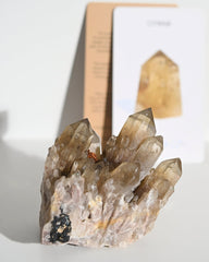 Elestial Citrine Cluster 1lbs
