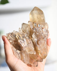 Double Terminated Elestial Citrine Cluster 1.1lbs