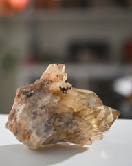 Elestial Citrine Cluster 1.2lb