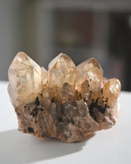 Elestial Citrine Cluster 1.2lb