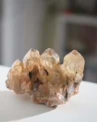 Elestial Citrine Cluster 1.2lb