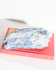 Blue Kyanite 1.7lbs