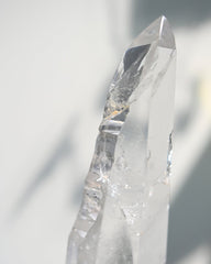 Groovy Lemurian Seed w Stand 14inch