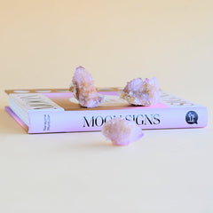 Mini Amethyst Spirit Cactus Quartz Cluster