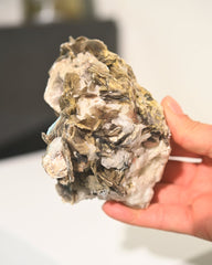 Muscovite Cluster