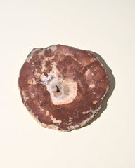 Red Petrified Wood Slab 8 inch