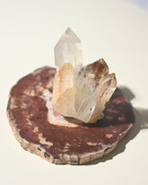 Red Petrified Wood Slab 8 inch