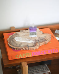 Petrified Wood Slab 3.7lbs