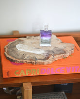 Petrified Wood Slab 3.7lbs