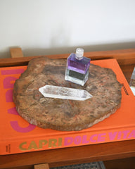 Petrified Wood Slab 5lbs