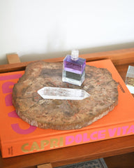 Petrified Wood Slab 5lbs