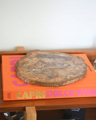 Petrified Wood Slab 5lbs