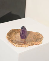 Petrified Wood Slab 6 Inch