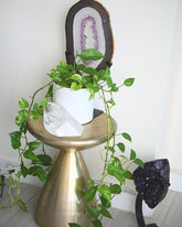 XL Amethyst Crystal Slab on Stand