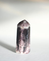 Trapiche Amethyst Point