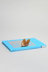 Mini Yellow Amethyst Spirit Cactus Quartz Cluster