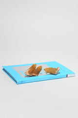 Mini Yellow Amethyst Spirit Cactus Quartz Cluster