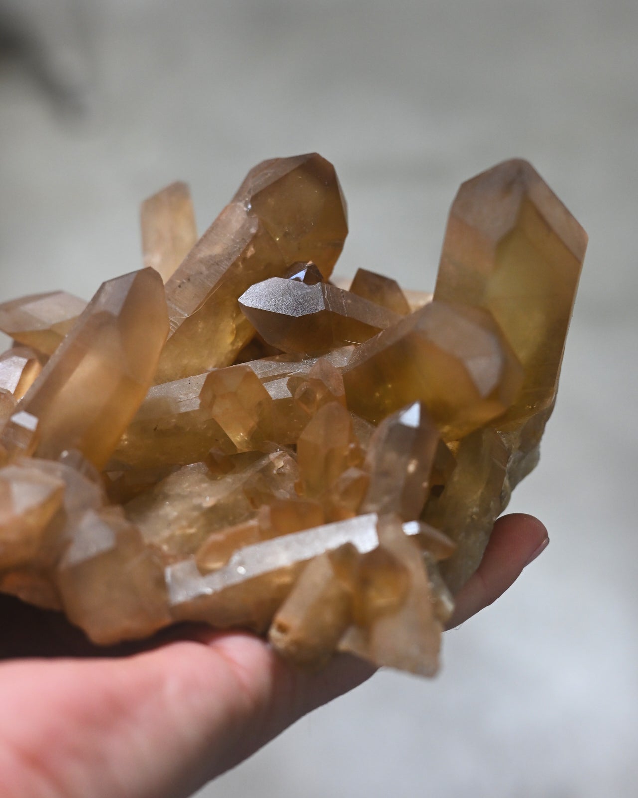 XL Rare Natural Citrine Cluster - South Africa