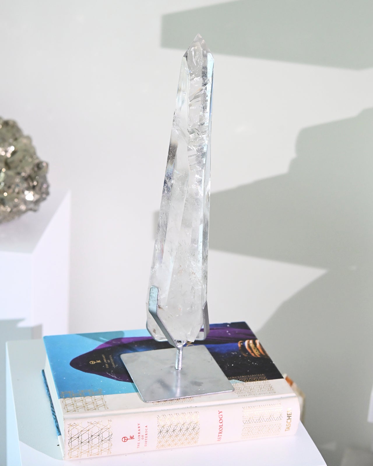 Groovy Lemurian Seed w Stand 14inch