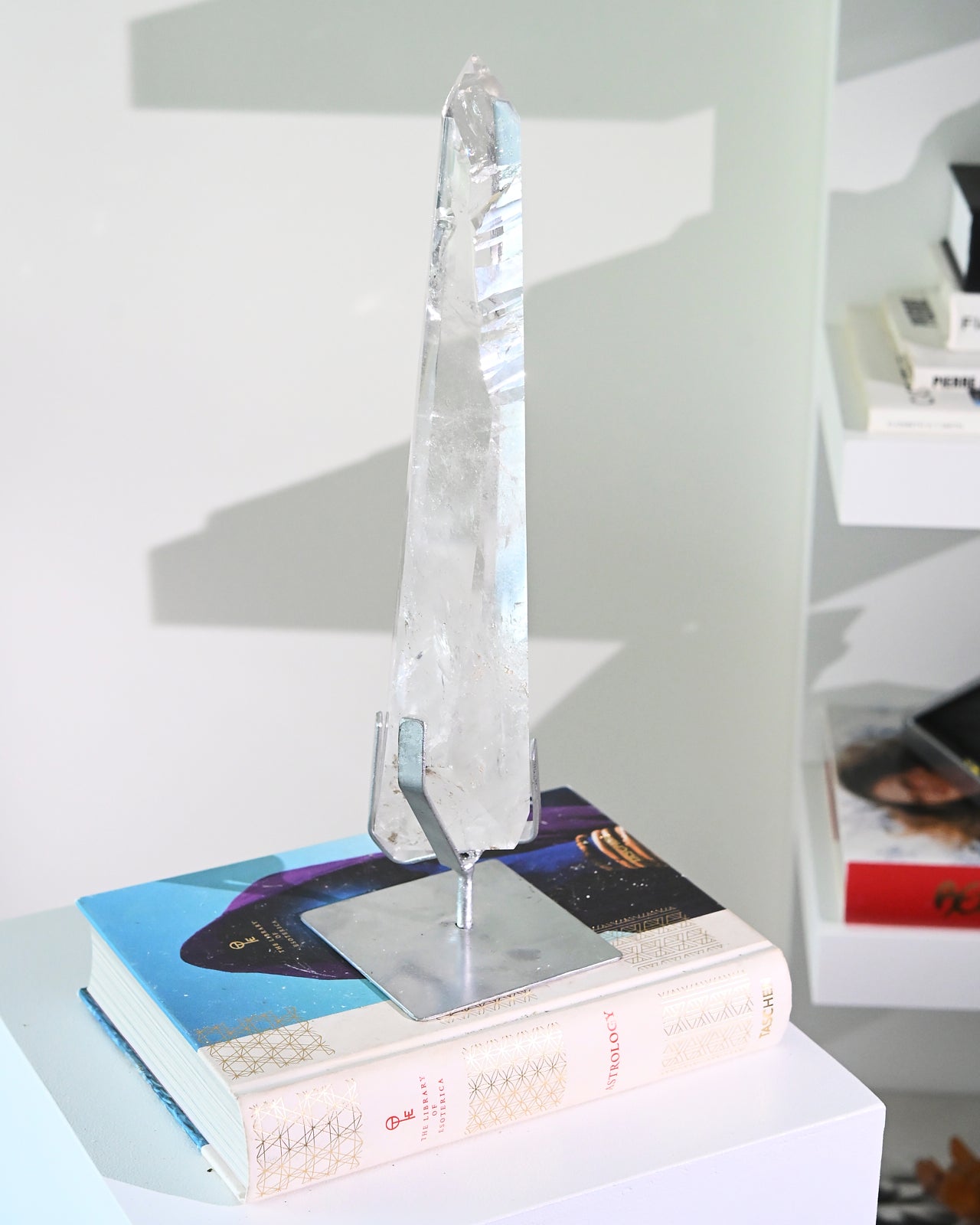 Groovy Lemurian Seed w Stand 14inch