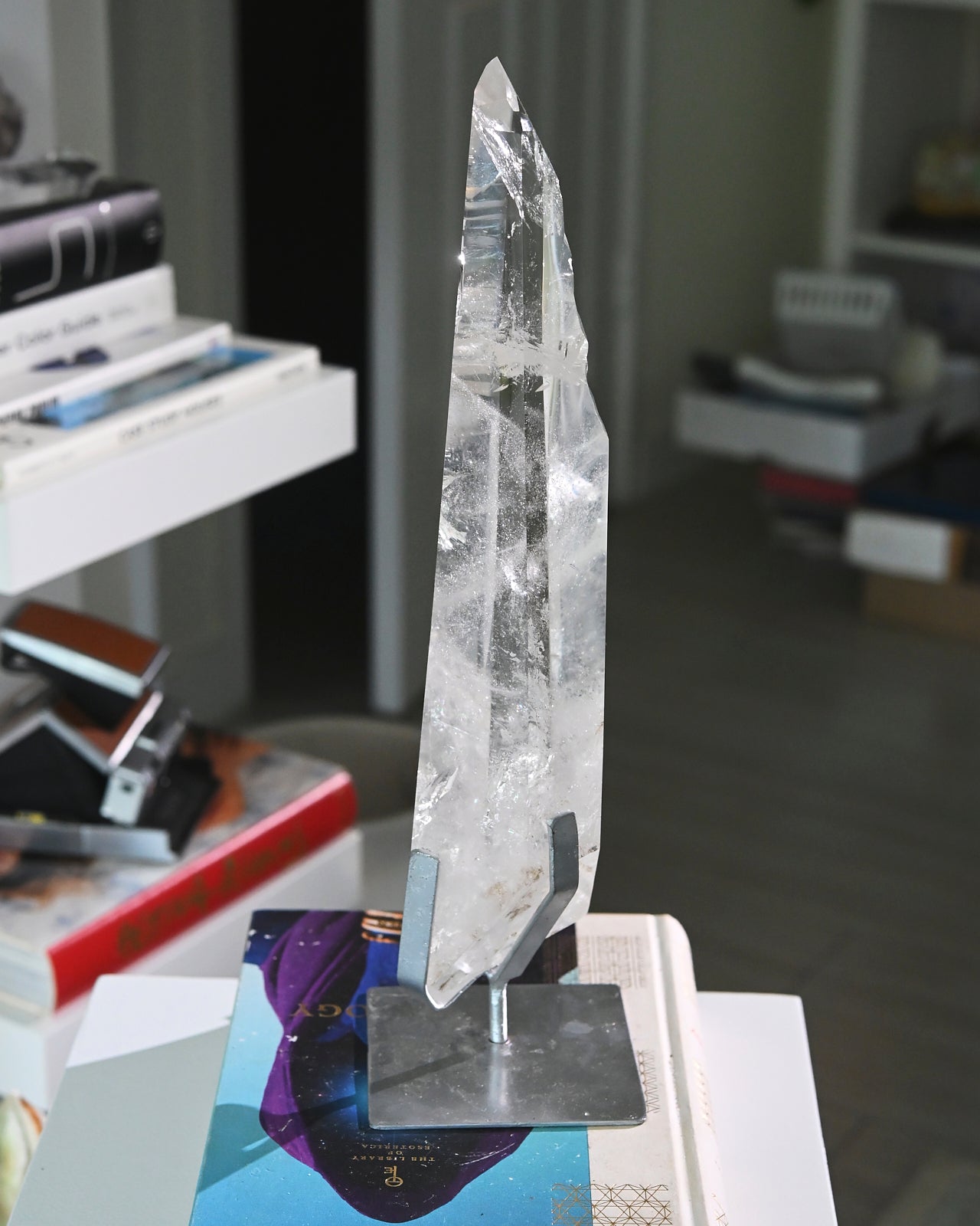 Groovy Lemurian Seed w Stand 14inch