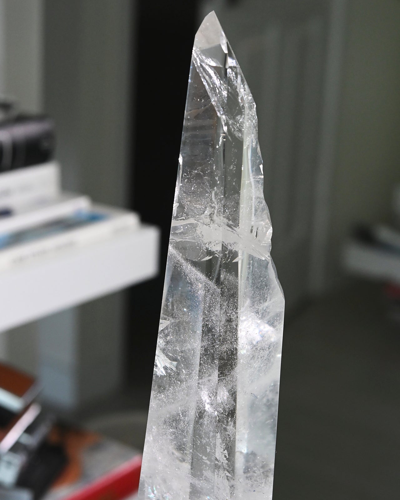 Groovy Lemurian Seed w Stand 14inch