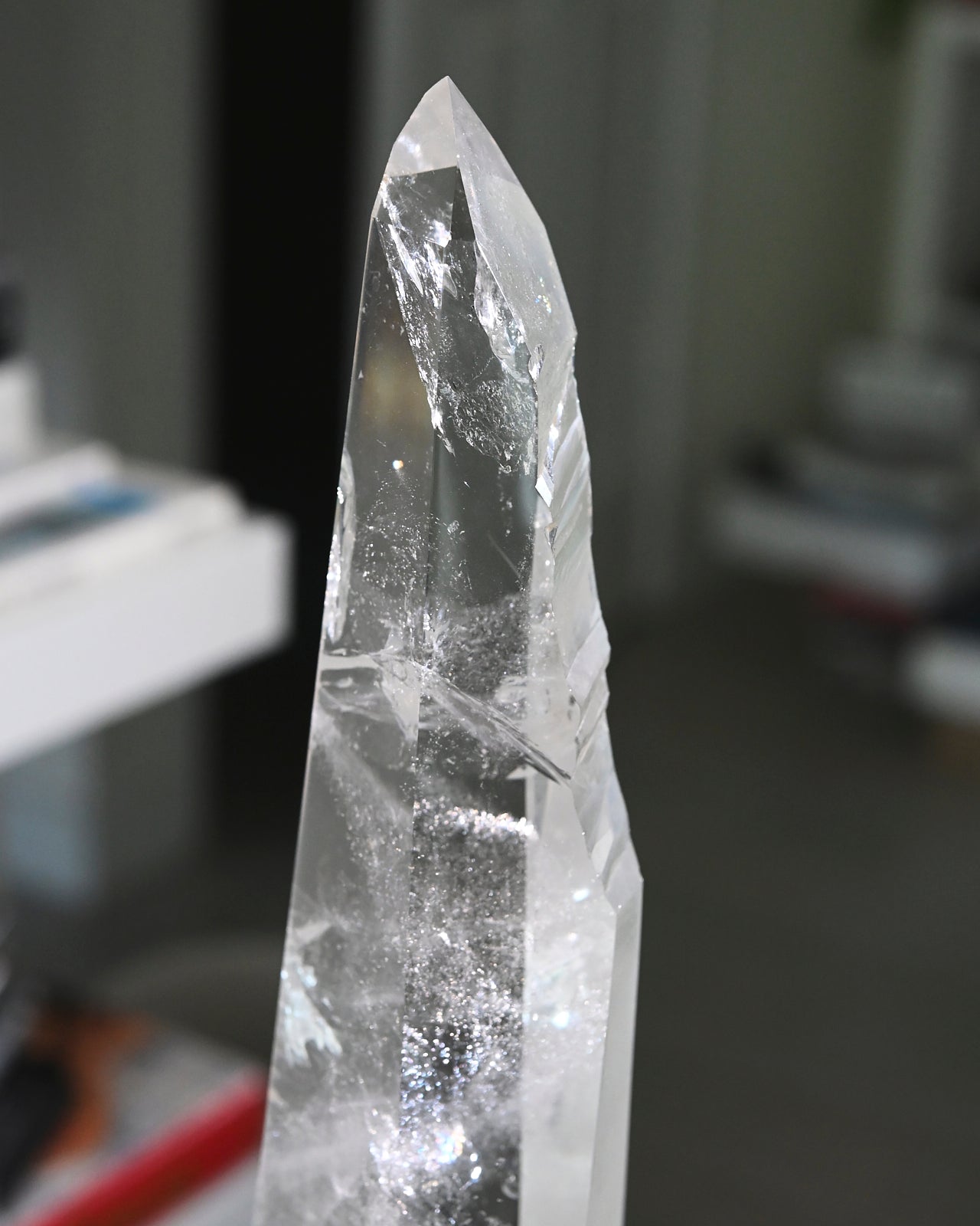 Groovy Lemurian Seed w Stand 14inch