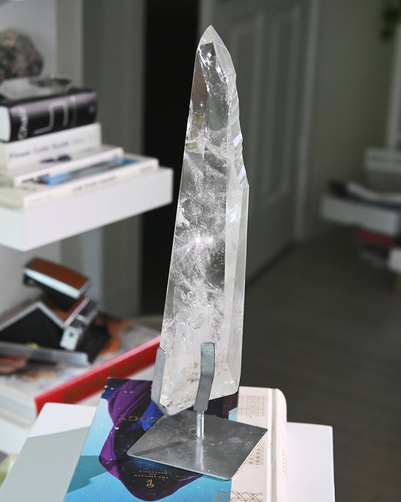 Groovy Lemurian Seed w Stand 14inch