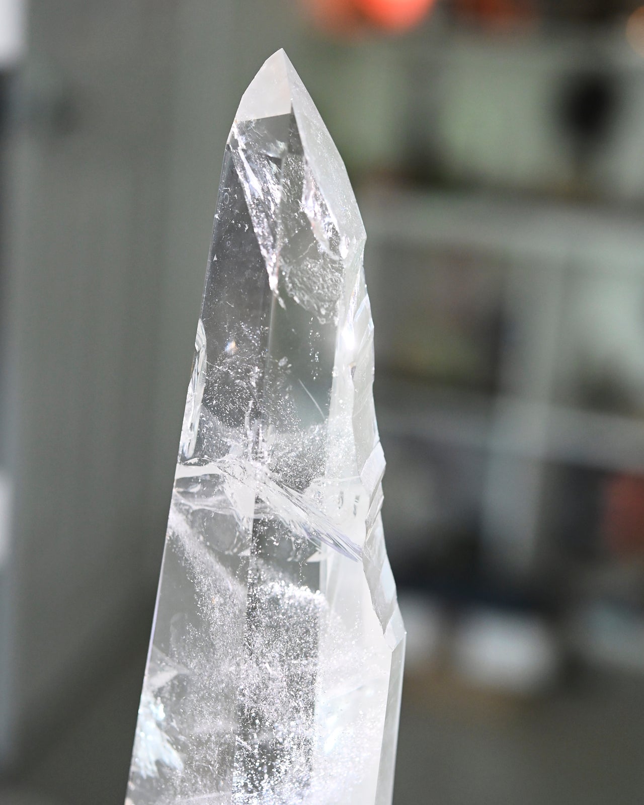 Groovy Lemurian Seed w Stand 14inch