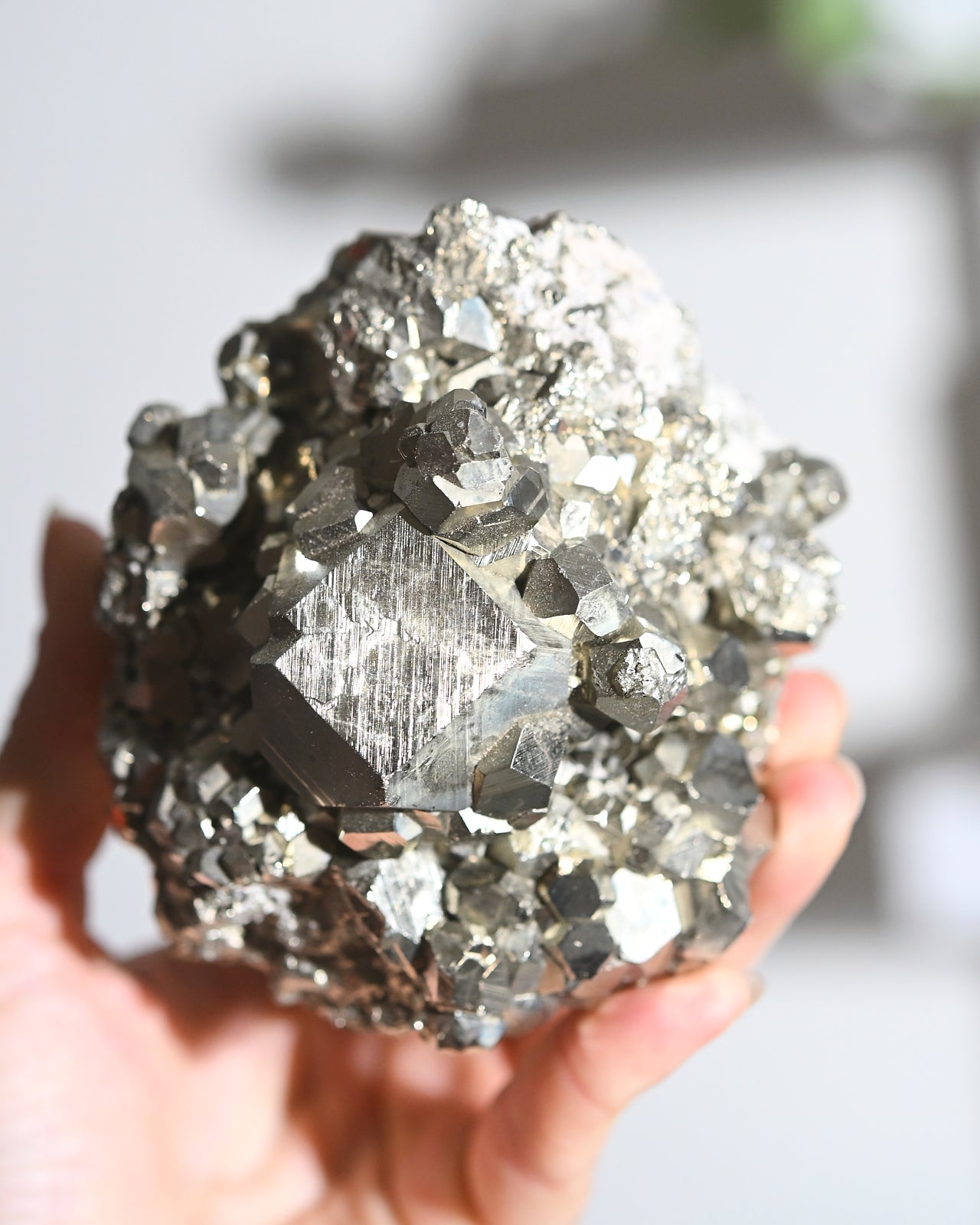 Pyrite Crystal Cluster 2.6lbs