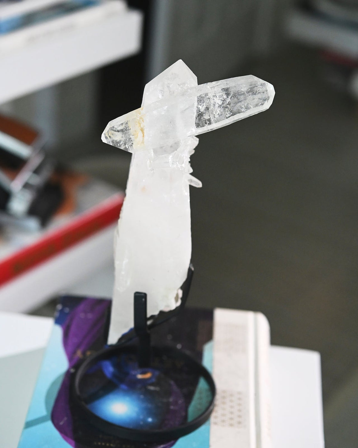 Double Terminated Lemurian  w Stand