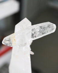 Double Terminated Lemurian  w Stand