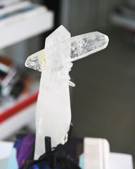 Double Terminated Lemurian  w Stand