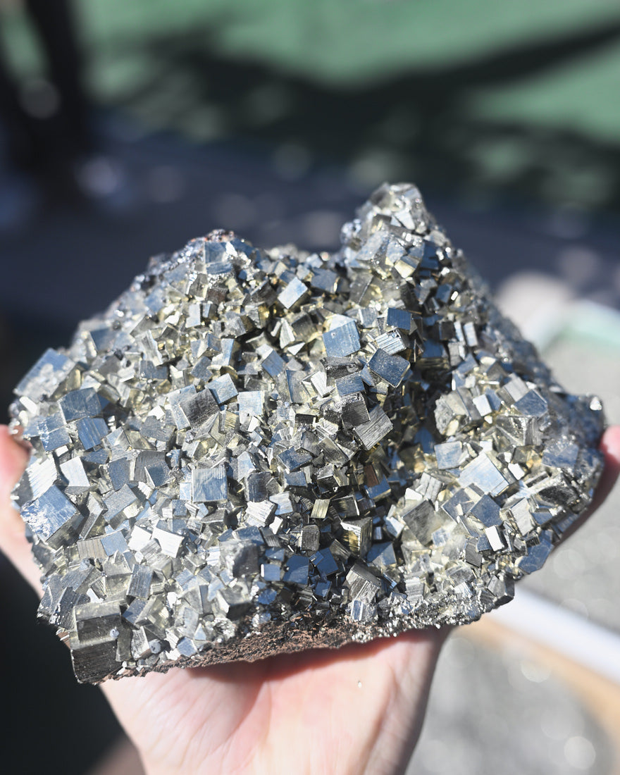 XXL Pyrite Cluster 11lbs